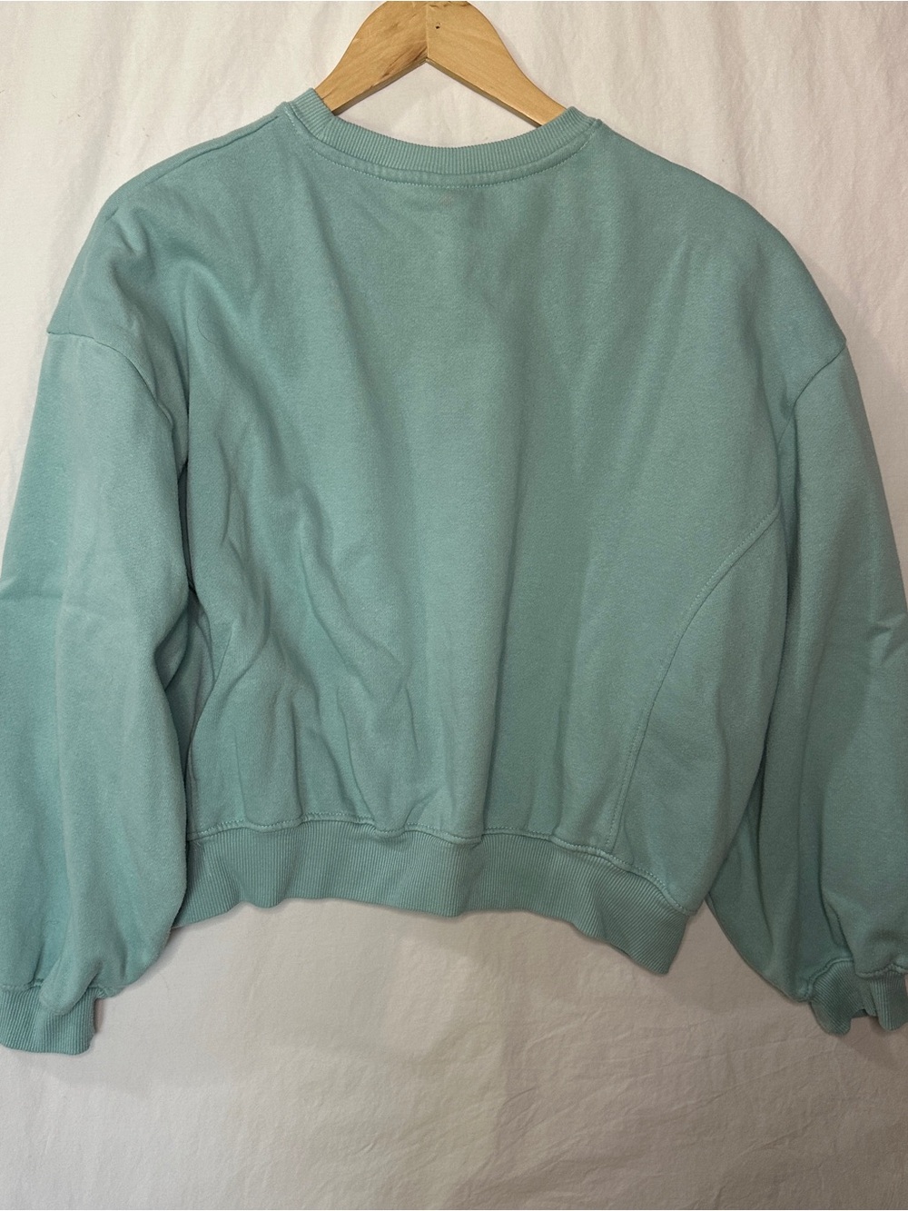 Lux Aqua Cropped Sweatshirt with Biscottini Lemon Graphic - Picture 3 of 3